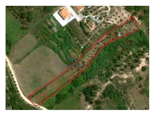 Terreno Urbano - Chamusca, Chamusca, Santarém - Imagem grande