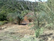Terreno Urbano - Chamusca, Chamusca, Santarm - Miniatura: 1/9