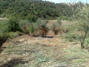 Terreno Urbano - Chamusca, Chamusca, Santarm - Miniatura: 2/9