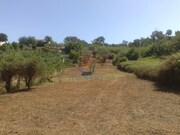 Terreno Urbano - Chamusca, Chamusca, Santarm - Miniatura: 4/9
