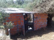 Terreno Urbano - Chamusca, Chamusca, Santarm - Miniatura: 7/9
