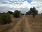 Terreno Rstico - Palmela, Palmela, Setbal - Miniatura: 2/9