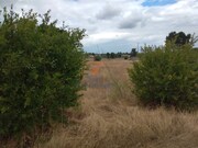 Terreno Rstico - Palmela, Palmela, Setbal - Miniatura: 3/9