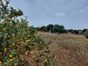 Terreno Rstico - Palmela, Palmela, Setbal - Miniatura: 5/9