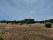 Terreno Rstico - Palmela, Palmela, Setbal - Miniatura: 6/9