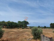 Terreno Rstico - Palmela, Palmela, Setbal - Miniatura: 7/9