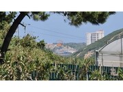 Terreno Urbano - A.  dos Cunhados, Torres Vedras, Lisboa - Miniatura: 3/4