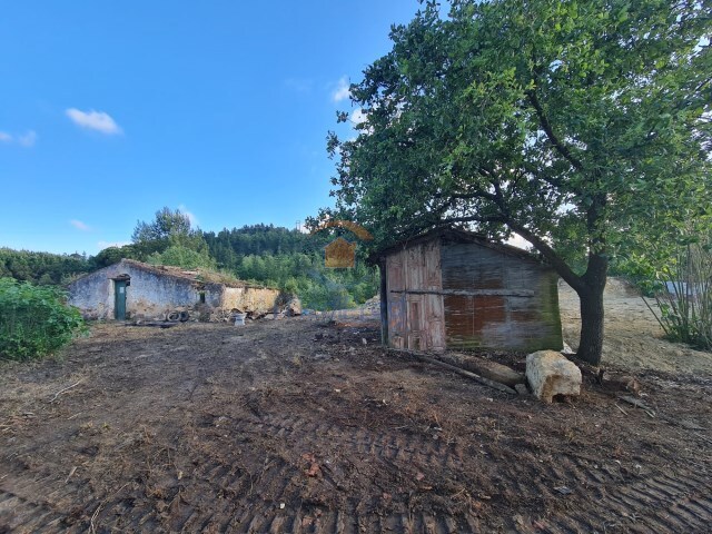 Moradia T1 - Santa Maria, Torres Vedras, Lisboa - Imagem grande