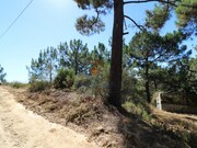 Terreno Rstico - Santa Maria, Torres Vedras, Lisboa - Miniatura: 2/5