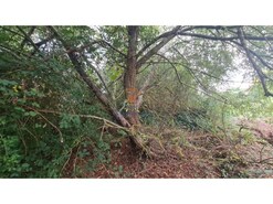 Terreno Rstico - A.  dos Cunhados, Torres Vedras, Lisboa