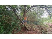 Terreno Rústico - A.  dos Cunhados, Torres Vedras, Lisboa - Miniatura: 4/8