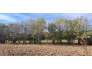 Terreno Rústico - A.  dos Cunhados, Torres Vedras, Lisboa - Miniatura: 6/8