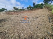 Terreno Rústico - A.  dos Cunhados, Torres Vedras, Lisboa - Miniatura: 8/8