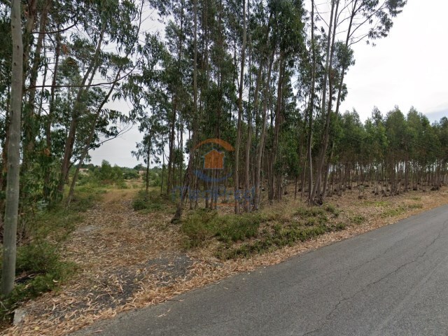 Terreno Rstico - Ereira, Cartaxo, Santarm - Imagem grande