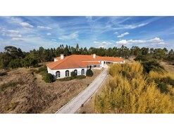Quinta T5 - So Pedro de Tomar, Tomar, Santarm