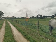 Moradia T1 - Palmela, Palmela, Setbal - Miniatura: 1/9
