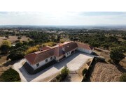 Quinta T5 - São Pedro de Tomar, Tomar, Santarém - Miniatura: 2/9