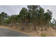 Terreno Rstico - Ereira, Cartaxo, Santarm - Miniatura: 1/3