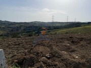 Terreno Rstico - Castanheira do Ribatejo, Vila Franca de Xira, Lisboa - Miniatura: 8/9