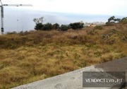 Terreno Urbano T0 - So Martinho, Funchal, Ilha da Madeira - Miniatura: 6/6