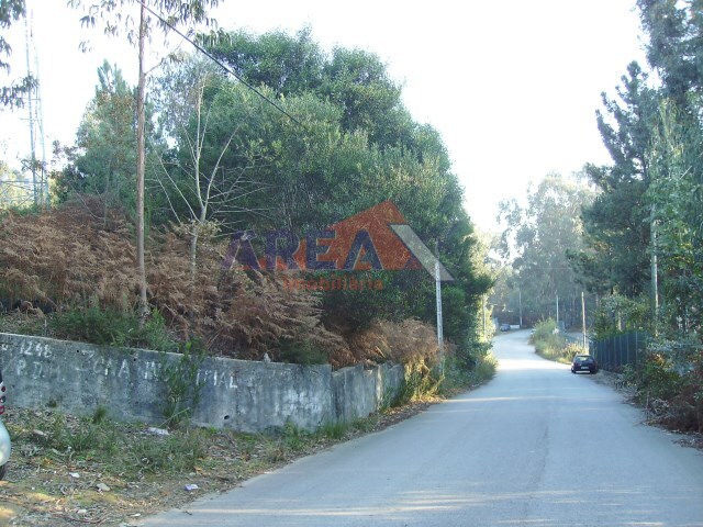 Terreno Rstico - So Roque, Oliveira de Azemis, Aveiro - Imagem grande
