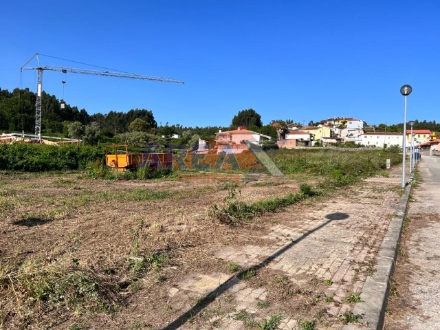 Terreno R�stico - Pinheiro da Bemposta, Oliveira de Azem�is, Aveiro - Imagem grande