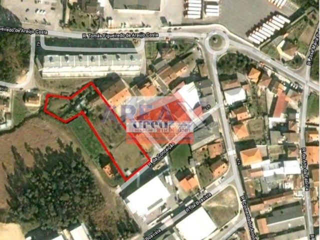 Terreno Urbano - Oliveira de Azemeis, Oliveira de Azemis, Aveiro - Imagem grande
