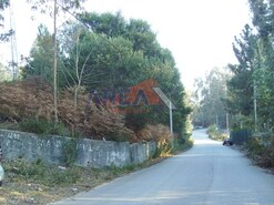 Terreno R�stico - S�o Roque, Oliveira de Azem�is, Aveiro