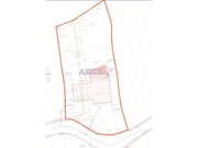 Terreno R�stico - Pinheiro da Bemposta, Oliveira de Azem�is, Aveiro - Miniatura: 5/8
