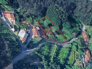 Terreno R�stico - Pinheiro da Bemposta, Oliveira de Azem�is, Aveiro - Miniatura: 8/8