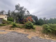 Terreno R�stico - Pinheiro da Bemposta, Oliveira de Azem�is, Aveiro - Miniatura: 5/9