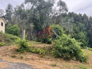 Terreno R�stico - Pinheiro da Bemposta, Oliveira de Azem�is, Aveiro - Miniatura: 6/9