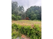 Terreno R�stico - Pinheiro da Bemposta, Oliveira de Azem�is, Aveiro - Miniatura: 7/9