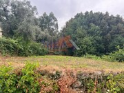 Terreno R�stico - Pinheiro da Bemposta, Oliveira de Azem�is, Aveiro - Miniatura: 8/9
