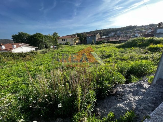 Terreno Rústico - Pinheiro da Bemposta, Oliveira de Azeméis, Aveiro - Imagem grande