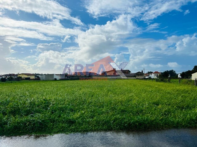 Terreno Rústico - Loureiro, Oliveira de Azeméis, Aveiro - Imagem grande