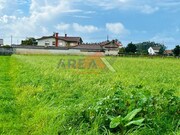 Terreno Rstico - Loureiro, Oliveira de Azemis, Aveiro - Miniatura: 1/5