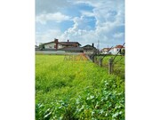 Terreno Rstico - Loureiro, Oliveira de Azemis, Aveiro - Miniatura: 2/5