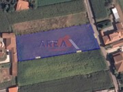 Terreno Rstico - Loureiro, Oliveira de Azemis, Aveiro - Miniatura: 4/5