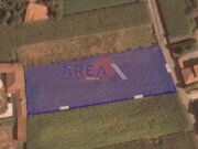 Terreno Rstico - Loureiro, Oliveira de Azemis, Aveiro - Miniatura: 5/5