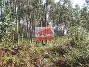 Terreno Rstico - Loureiro, Oliveira de Azemis, Aveiro - Miniatura: 1/4