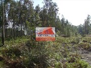 Terreno Rstico - Loureiro, Oliveira de Azemis, Aveiro - Miniatura: 2/4