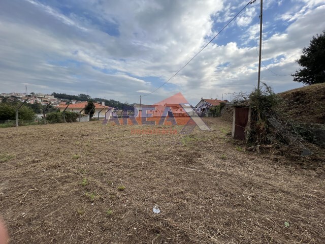 Terreno R�stico - Vila de Cucuj�es, Oliveira de Azem�is, Aveiro - Imagem grande