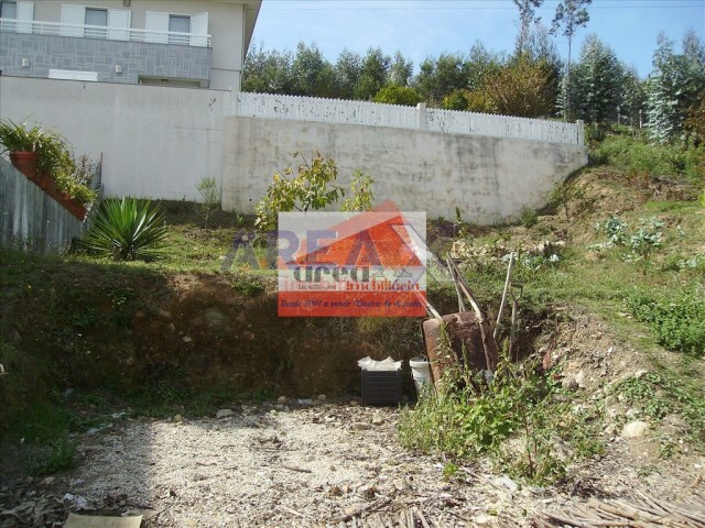 Terreno Rstico - Pinheiro da Bemposta, Oliveira de Azemis, Aveiro - Imagem grande