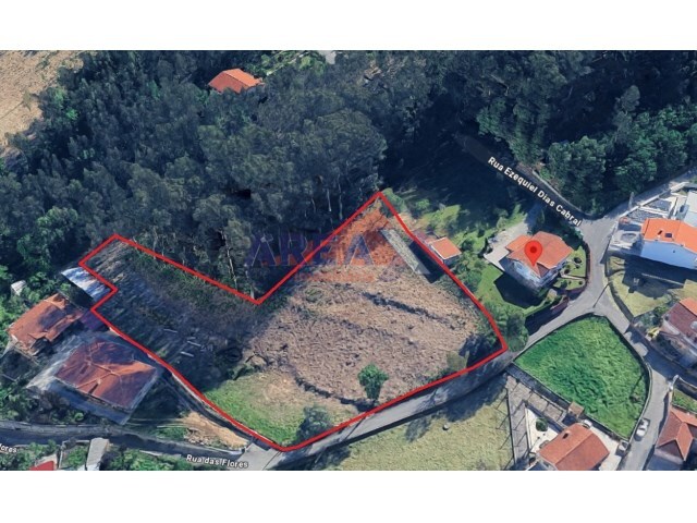 Terreno Rústico Não Definido - Pinheiro da Bemposta, Oliveira de Azeméis, Aveiro - Imagem grande