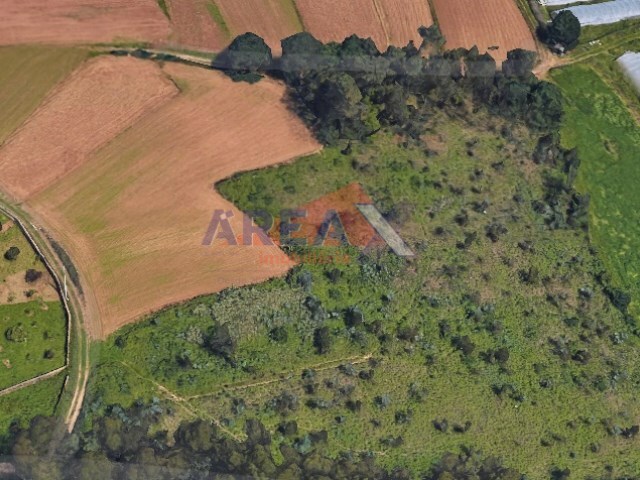 Terreno R�stico - S�o Martinho da G�ndara, Oliveira de Azem�is, Aveiro - Imagem grande