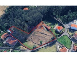 Terreno R�stico - Pinheiro da Bemposta, Oliveira de Azem�is, Aveiro