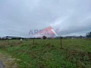 Terreno Rstico - Loureiro, Oliveira de Azemis, Aveiro - Miniatura: 2/3