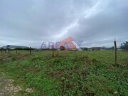 Terreno Rstico - Loureiro, Oliveira de Azemis, Aveiro - Miniatura: 3/3