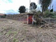 Terreno R�stico - Vila de Cucuj�es, Oliveira de Azem�is, Aveiro - Miniatura: 1/8